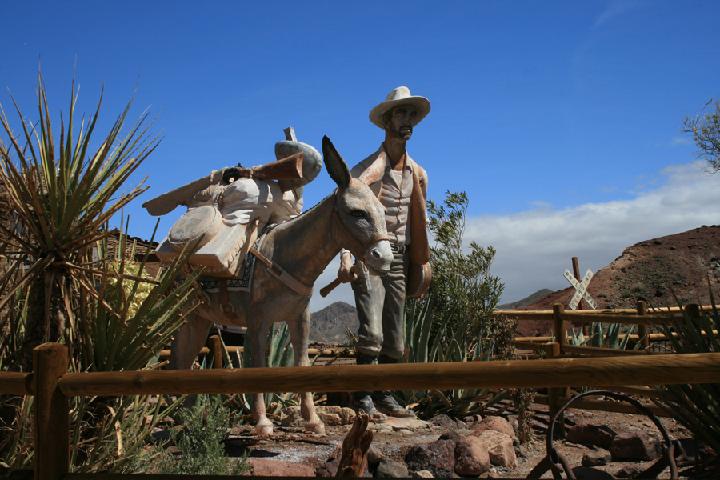 2- Calico 0021.JPG